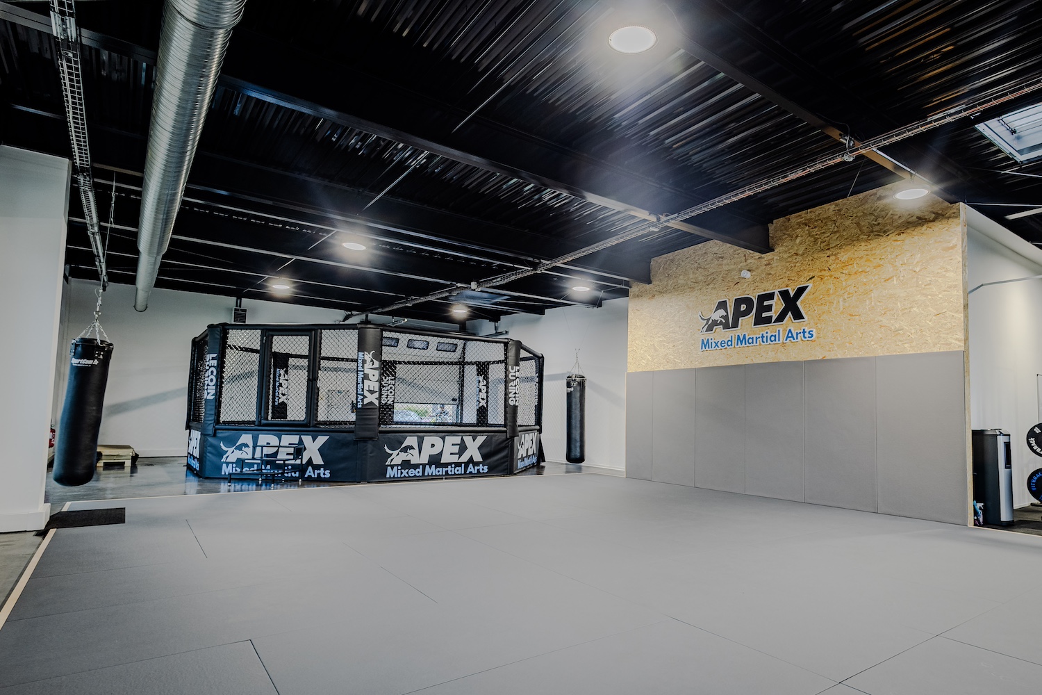 APEX MMA